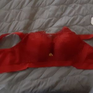 Red lace bra